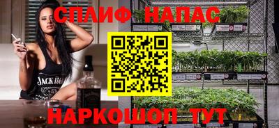 тгк Гай