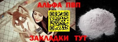 тгк Гай
