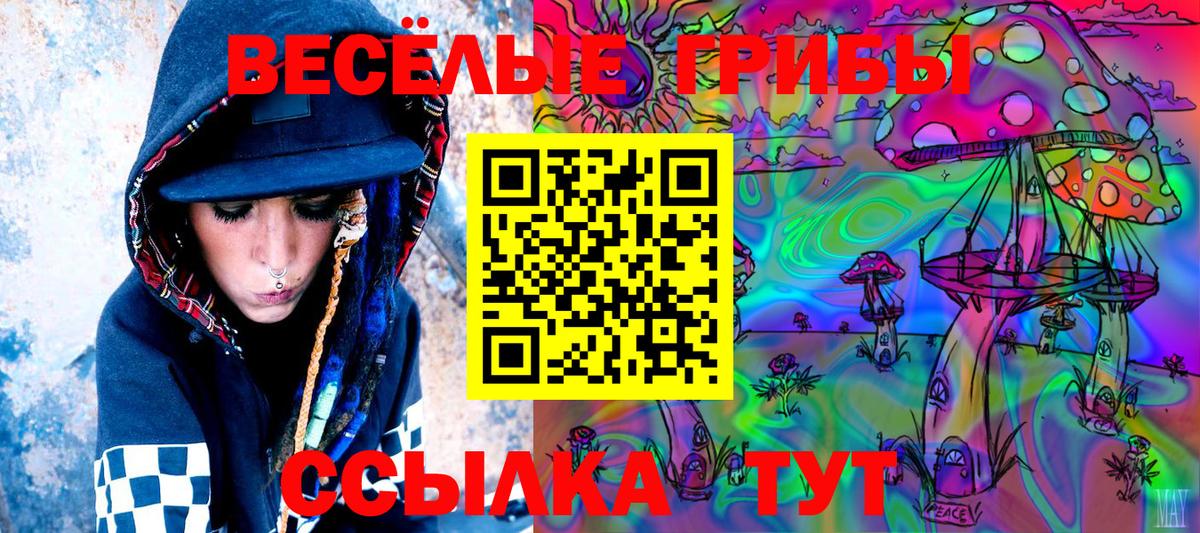 Псилоцибиновые грибы GOLDEN TEACHER  сколько стоит  Гагарин  Вход с VPN 