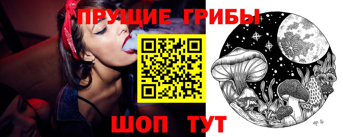 Галлюциногенные грибы Psilocybe Гагарин